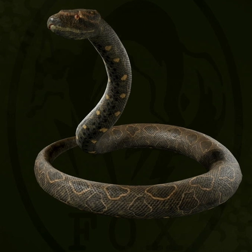 メタルギアデルタ_オオアナコンダ_アイコン